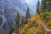 Wanderweg im Herbst im Karwendel, Hinterriß, Karwendel, Tirol, Österreich, Europa