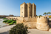 Torre de la Calahorra, Puente Romano und Mezquita-Cathedral am Fluss Guadalquivir in Cordoba, Andalusien, Spanien