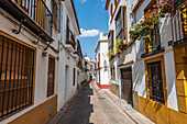  Alley in Cordoba, Andalusia, Spain 