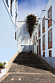  Images of the port city of Santa Cruz de La Palma on the Canary Island of La Palma, Spain. The images show the city center, views of the city and flower-decorated streets. 