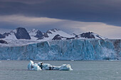  Samarinbreen glacier, Hornsund, Spitsbergen, Norway 