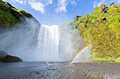  Skogafoss, 63m high waterfall, summer, Iceland 