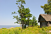 fishermen hut,Altja,Baltic coast,Lahemaa National Park,estonia,northern europe