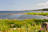  Altja, Ostseeküste, Nationalpark Lahemaa, Estland, Nordeuropa 