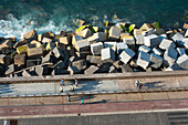 rock breakwater to protect the Paseo Nuevo, San Sebastian, Bay of Biscay, province of Gipuzkoa, Basque Country, Spain,Europe