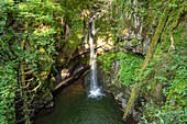 Haselbach-Wasserfall im Schwarzwald bei Weilheim, Baden-Württemberg, Deutschland