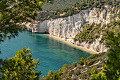 Strand und Bucht Bucht Cala di Enea bei Mattinatella, Mattinata, Gargano, Apulien, Italien, Europa