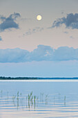  Moon over the Mueritz, Mueritz National Park, Mecklenburg-Vorpommern, Germany 