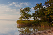  View of the Mueritz, Mueritz National Park, Mecklenburg-Vorpommern, Germany 