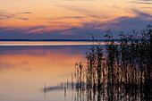  Evening mood at the Mueritz, Mueritz National Park, Mecklenburg-Vorpommern, Germany 