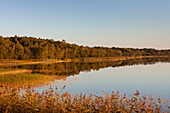 Abendstimmung am Rederangsee, Nationalpark Müritz, Mecklenburg-Vorpommern, Deutschland