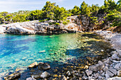  Lonely quiet bay in Croatia with turquoise water and pine trees 