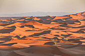  Camel driver with camels in the desert at sunset 