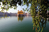 Golden temple, amritsar, punjab, india, asia