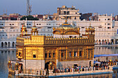 Golden temple, amritsar, punjab, india, asia