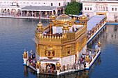 Golden temple, amritsar, punjab, india, asia