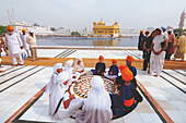 Golden temple, amritsar, punjab, india, asia