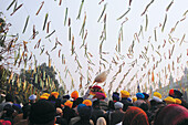 Devotees carrying palanquin, golden temple, amritsar, punjab, india, asia