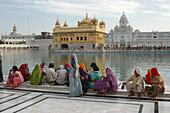 Golden temple, amritsar, punjab, india, asia