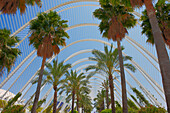 Palm trees grow at The Umbracle, a landscaped walk in the City of Arts and Sciences, a cultural and architectural complex in Valencia, Spain.