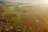 Aerial view of vineyards in Napa Valley. California, USA.