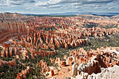 Scenic view of the Amphitheater in Bryce Canyon, Utah, USA.