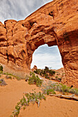  Der Pine Tree Arch im Arches Nationalpark, Utah, USA. 