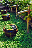 Water fountains in a garden pond. Mui Ne, Binh Thuan Province, Vietnam.