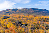 Schweden, Norrbottens län, Abisko, Nationalpark Abisko