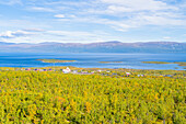 Schweden, Norrbottens län, Abisko, Nationalpark Abisko, Blick auf See