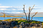 Schweden, Norrbottens län, Abisko, Torneträsk See