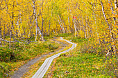  Sweden, Norrbotten County, Abisko, Abisko National Park 