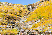 Schweden, Norrbottens län, Abisko, Nationalpark Abisko, Wasserfall und Bach im Herbst