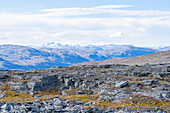 Schweden, Norrbottens län, Abisko, Nationalpark Abisko, Berg Slåttatjåkka