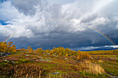 Schweden, Norrbottens län, Abisko, Herbstlandschaft mit Regenbogen