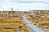 Norwegen, Finnmark, Varangerhalvøya, Landschaftsroute Varanger, Strommasten und Landstraße