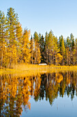 Finnland, Kuusamoo, See im Herbst, Spiegelung der Bäume mit Herbstfärbung am Ufer