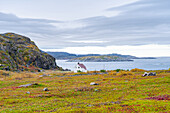  Norway, Finnmark, Grense Jakobselv, Russian border, Barents Sea 