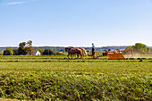  Amish farmer doing traditional field work with horses turning hay and landscape with farm and grain silos near Strasburg in the Pennsylvania Dutch Country in Pennsylvania, USA 