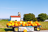  Pumpkins for sale overlooking farm and grain elevator near Strasburg in Pennsylvania Dutch Country in Pennsylvania, USA 