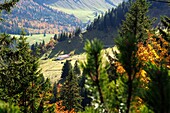  View from Hochries on Samerberg, Chiemgau, Upper Bavaria, Germany 