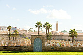  Cemetery near Rabat Beach at lunchtime, Morocco. 