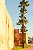  Street shots of Rabat, capital of Morocco. 