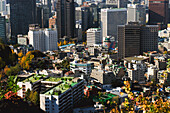  View of Seoul skyline in autumn from Namsan Mountrain Park, South Korea. 