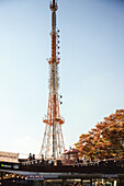  N Seoul Tower with autumn leaves, in Seoul, in Namsan Park, South Korea. 