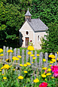  Small village chapel and a flowering front garden, Radein, South Tyrol, Alto Adige, Italy 