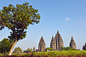 Prambanan Temple Compounds, region of Yogyakarta, Java island, Indonesia, Southeast Asia