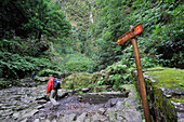 Green Cauldron (caldeirao verde),Madeira island,Atlantic Ocean,Portugal