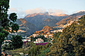  Auf den Hügeln von Funchal, Insel Madeira, Atlantischer Ozean, Portugal 