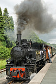 Llanfair Light Railway,Llanfair Caereinion,Welshpool,Powis,Wales,United Kingdom,Great Britain,Europe